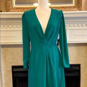 NWT Express Dress